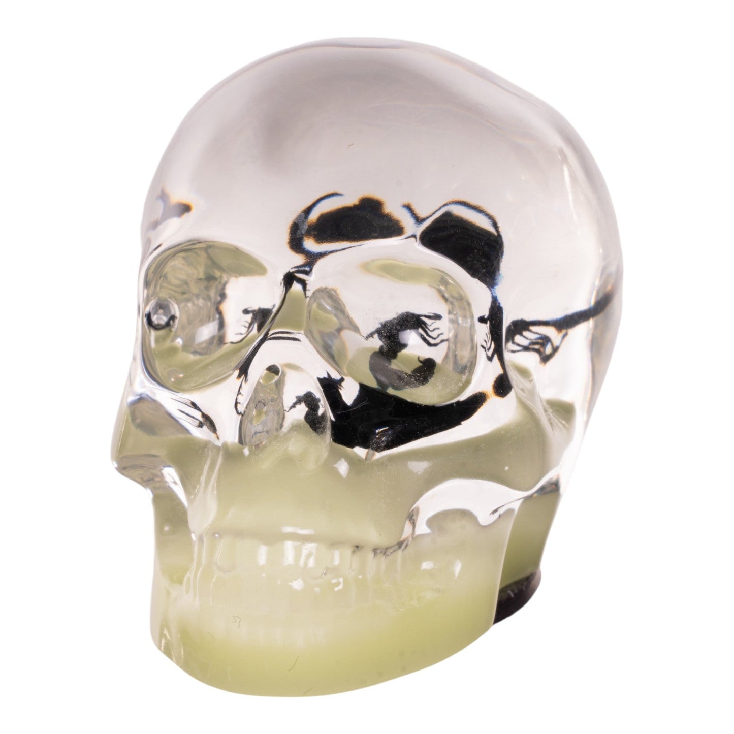 Real Black Scorpion in Acrylic Skull Magnet - Glow